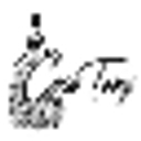 Casa Tony LLC logo