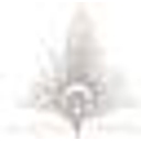 S. Carter Designs logo