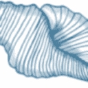 Hidden Date logo