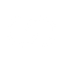 Capitole Consulting logo