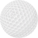 Bird Golf Academy logo