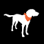 Maine Trail Dogs logo