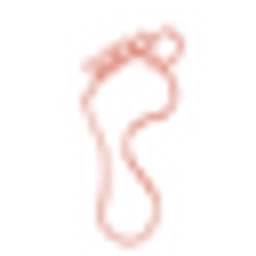 footstarorthotics.com favicon