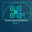 Drone Aerial Solutions logo