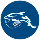 Palm Beach Custom A/V logo