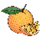 Orange Pest Control logo