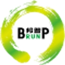 Brunp logo