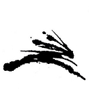 Savage Creative logo