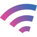 anyIP logo