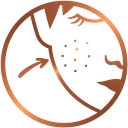 SunCare Spray Tan and Skin Care Salon logo