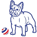 BluJax Accountants logo