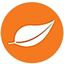 Peachtree Plus Services logo