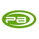 Power Analytics Global Corporation logo