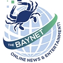 The BayNet logo