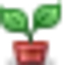 Roots Nursery logo
