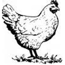 Spotted Hen Catering logo