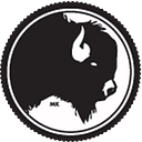 Buffalo Tax Strategies logo