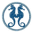 HarborView Surgical Arts logo
