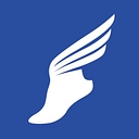 Perfect Stride Physical Therapy logo
