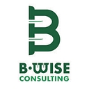 B‑WISE Consulting logo