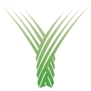 Yaamava' Resort & Casino logo
