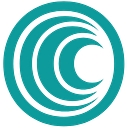 Tunnel Vision Surveys logo