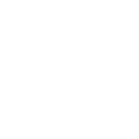 Scarlet & Co logo