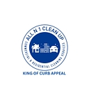 All N1 Cleanup logo