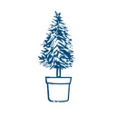 Brownlee Wealth Management logo
