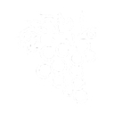 PromiseLand Financial Advisory logo
