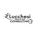 Lucchesi Consulting logo