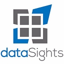 dataSights logo
