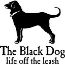 The Black Dog logo