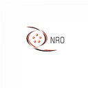 Regional Internet Registries logo