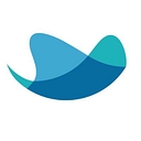 Raynet logo