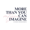 More Than You Can Imagine logo