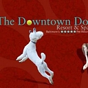 Downtown Dog Resort logo