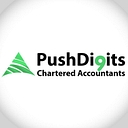 Push Digits Chartered Accountants logo