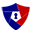 All American Protection logo