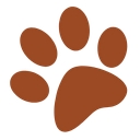 Doctor Groomer Mobile Pet Grooming logo