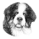 Riggie the Berner logo