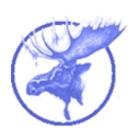 Bull Moose Surveying logo
