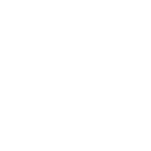 FLEXX Prestige Rentals logo