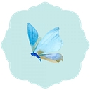 The Butterfly Pavilion logo