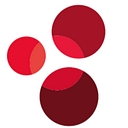 globalcitieshub.org favicon