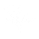 Aesthetic Lookz logo