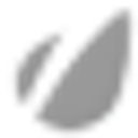 Community Health logo