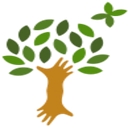 Roots & Wings Pediatrics logo