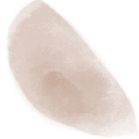 The Mindful Hapa logo