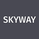 Skyway Windows logo
